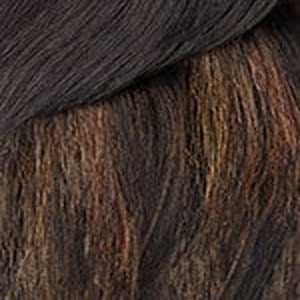 Sensationnel Barelace Synthetic Luxe Glueless Lace Front Wig - Y-PART BILANY - EgoWigs.com-SECRET HIGHLIGHT/CHESTNUT